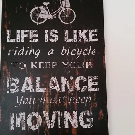 Mirela Daire Saraybosna