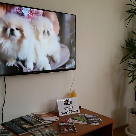 아파트 Mirela 사라예보