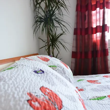 Mirela * 사라예보