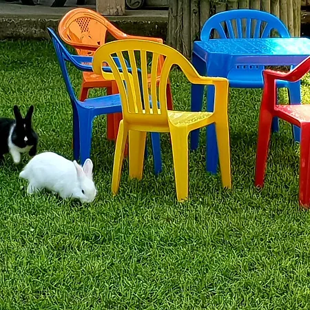 Daire Mirela Saraybosna